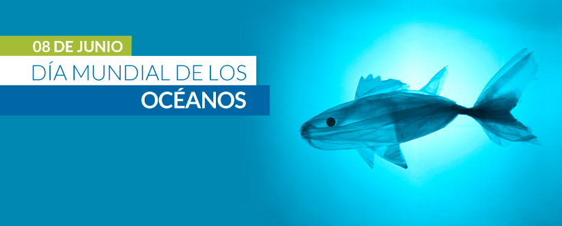 Día Mundial De Los Océanos