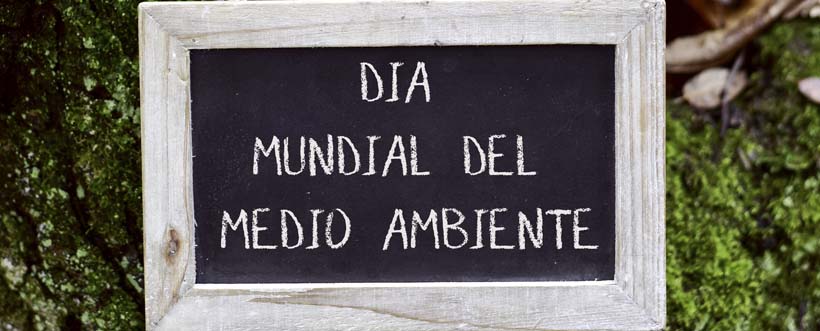 Día Mundial Del Medio Ambiente