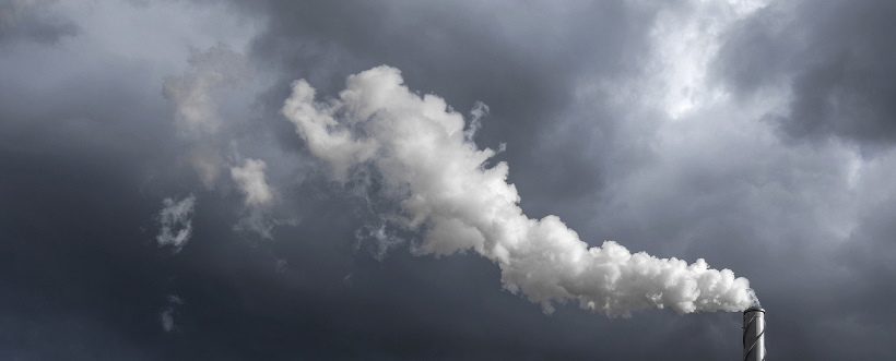 Día Internacional Contra El Cambio Climático