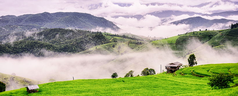 Día Mundial De Protección De La Naturaleza