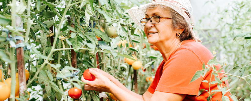 Día Internacional De La Mujer