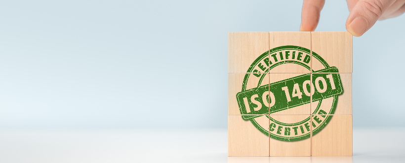 Nylon Apariencia ballena Principios de la norma ISO 14001 Archivos - Nueva ISO 14001