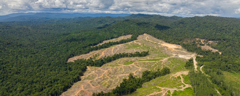 Día de la lucha contra la desertificación y la sequía