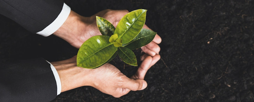 Responsable de gestión ambiental