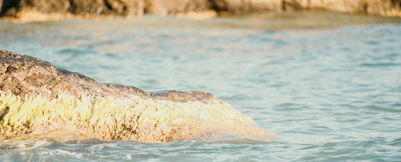 Día Interamericano Del Agua