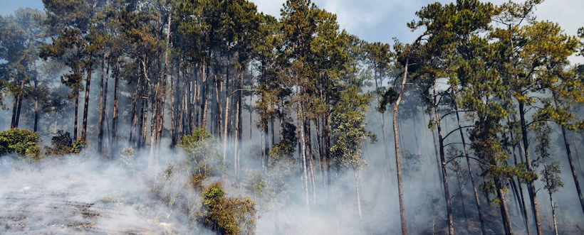 Administración De Riesgos Ambientales