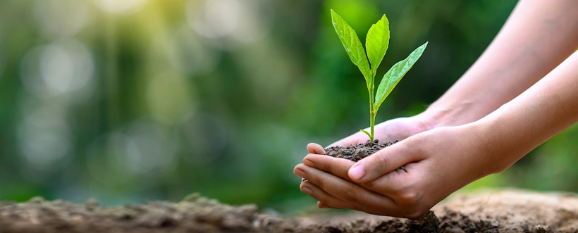 Inteligencia Artificial En La Conservación Del Ambiente